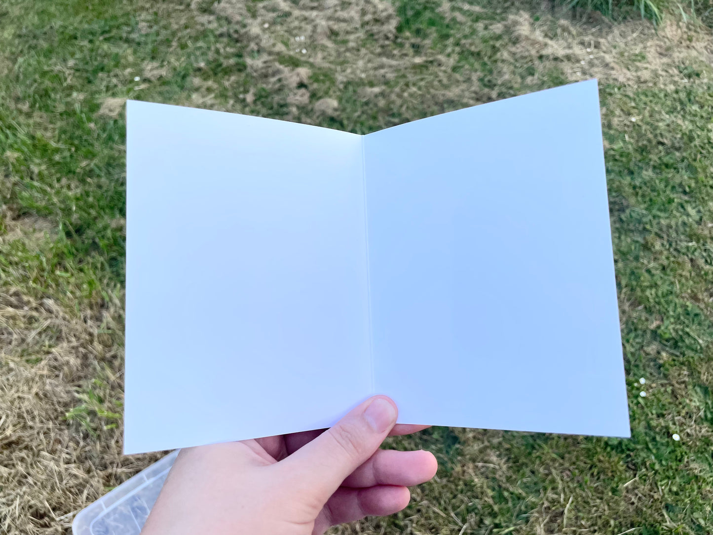 Pumpkin Cat Print Greeting Card