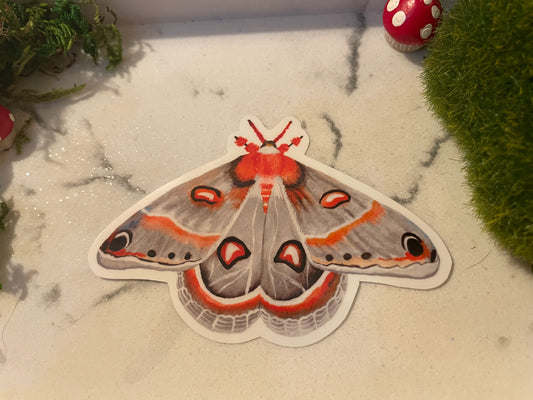 Cecropia Moth Sticker