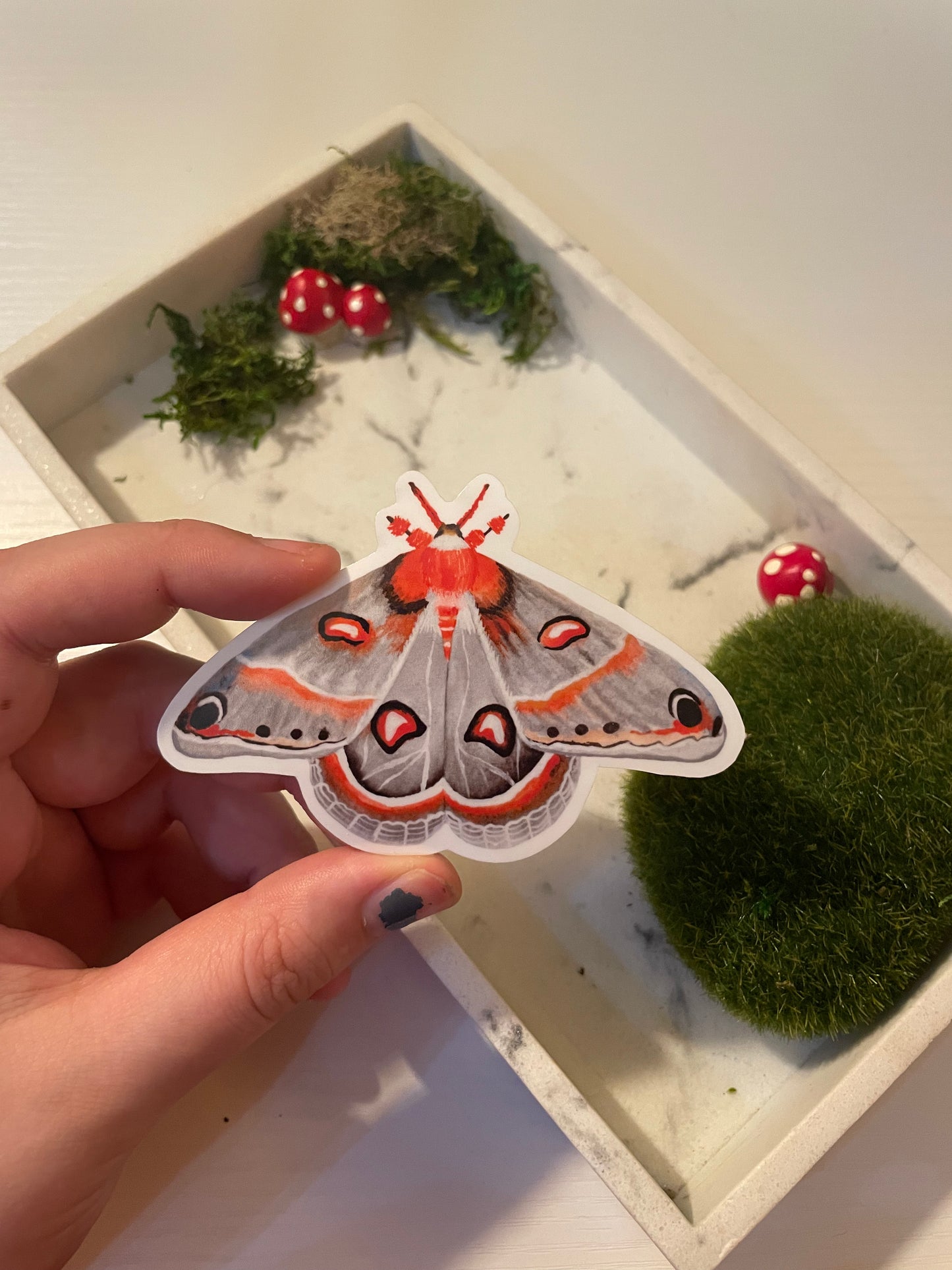 Cecropia Moth Sticker