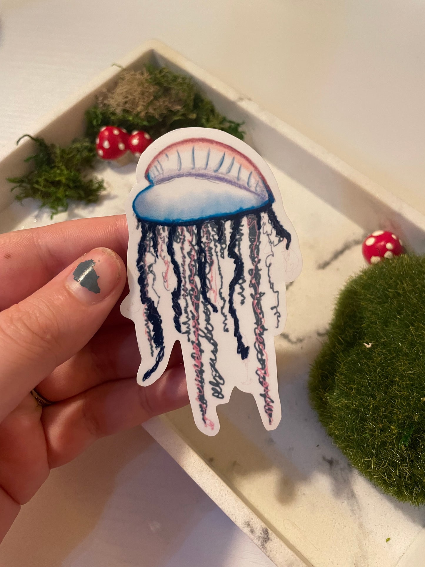 Man 'O War Jellyfish Sticker