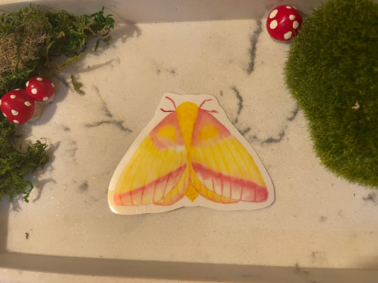 Rosy Maple Moth Sticker