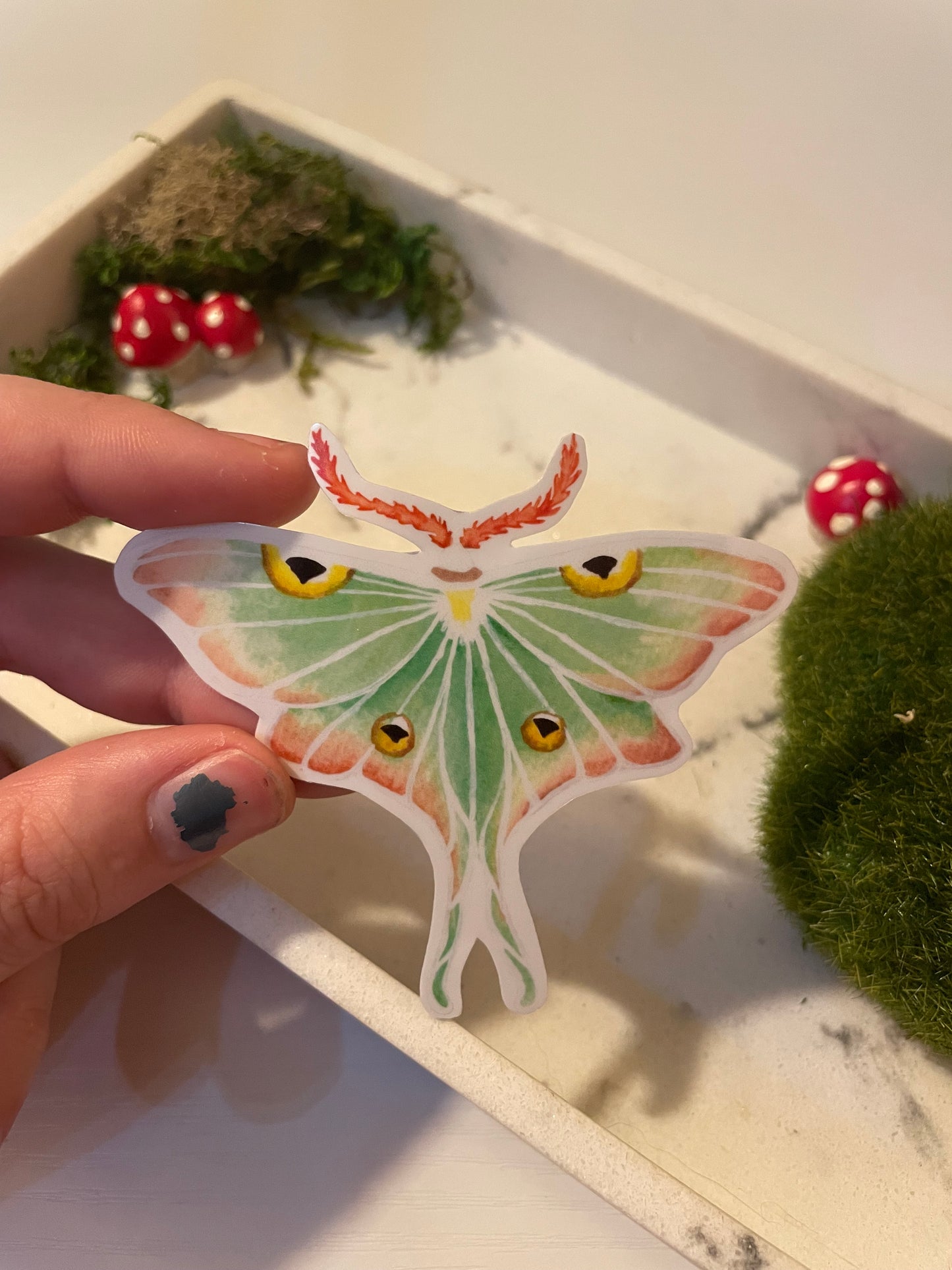 Luna Moth Sticker