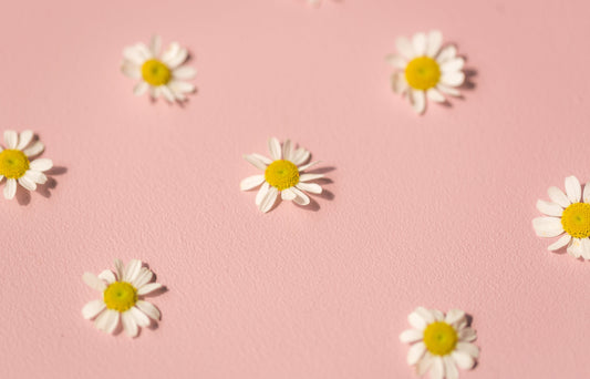 Cost Effective Crafting